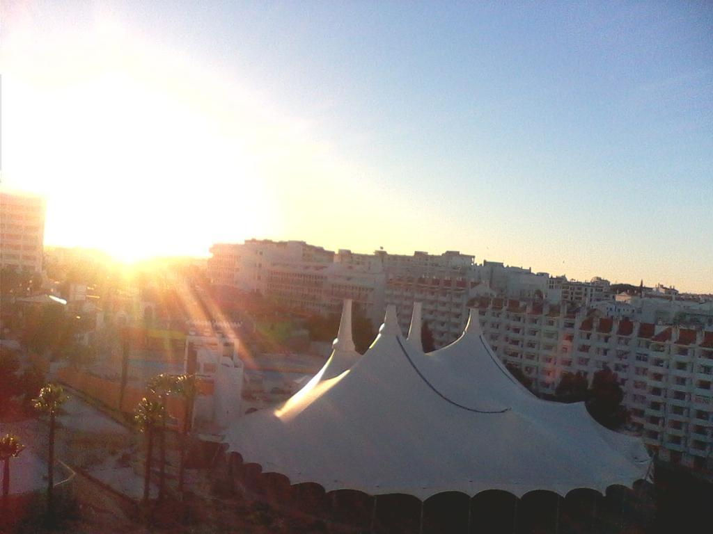 Ariadna Albufeira